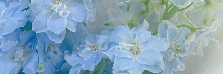 xiaohxran's profile banner image