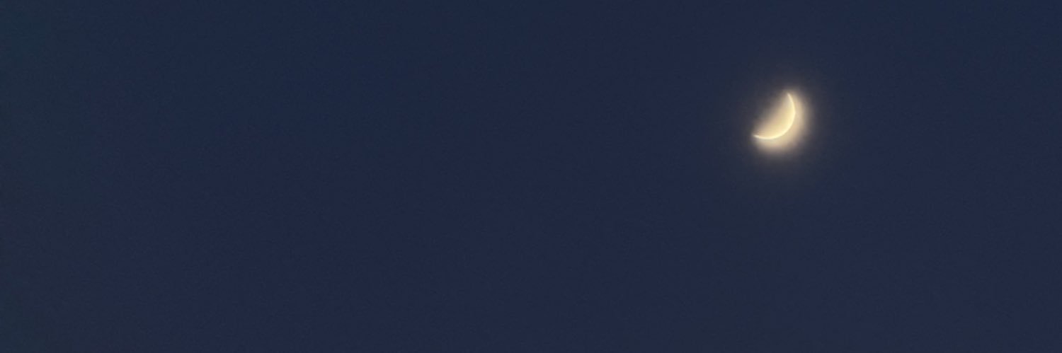 fadedfae__'s profile banner image