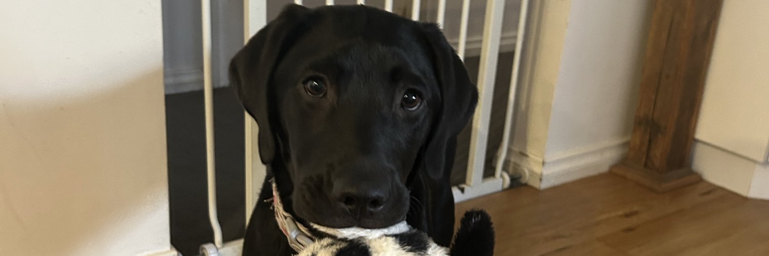 mao but scary banner