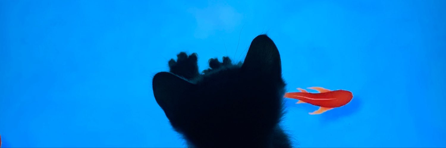 AnNingcc's profile banner image