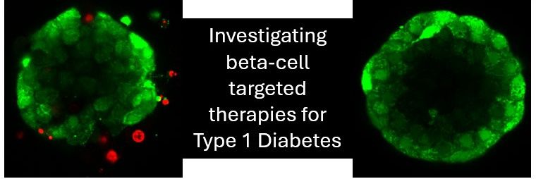 Jubril Akolade, PhD banner