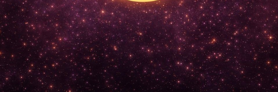 Heart Value Ecosystem banner