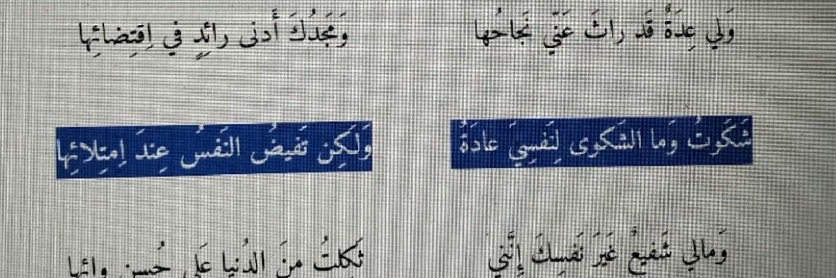 سَنا🦅 banner