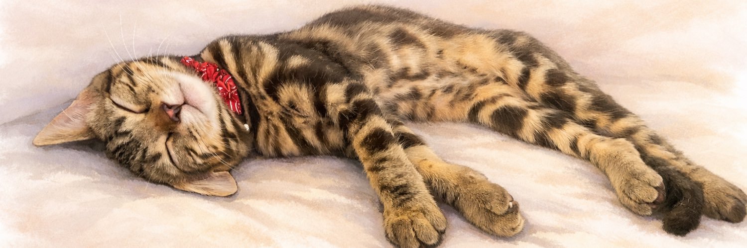 よしまる R8中小企業診断士受験生 banner