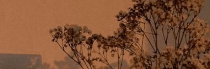 ddbendinelli's profile banner image