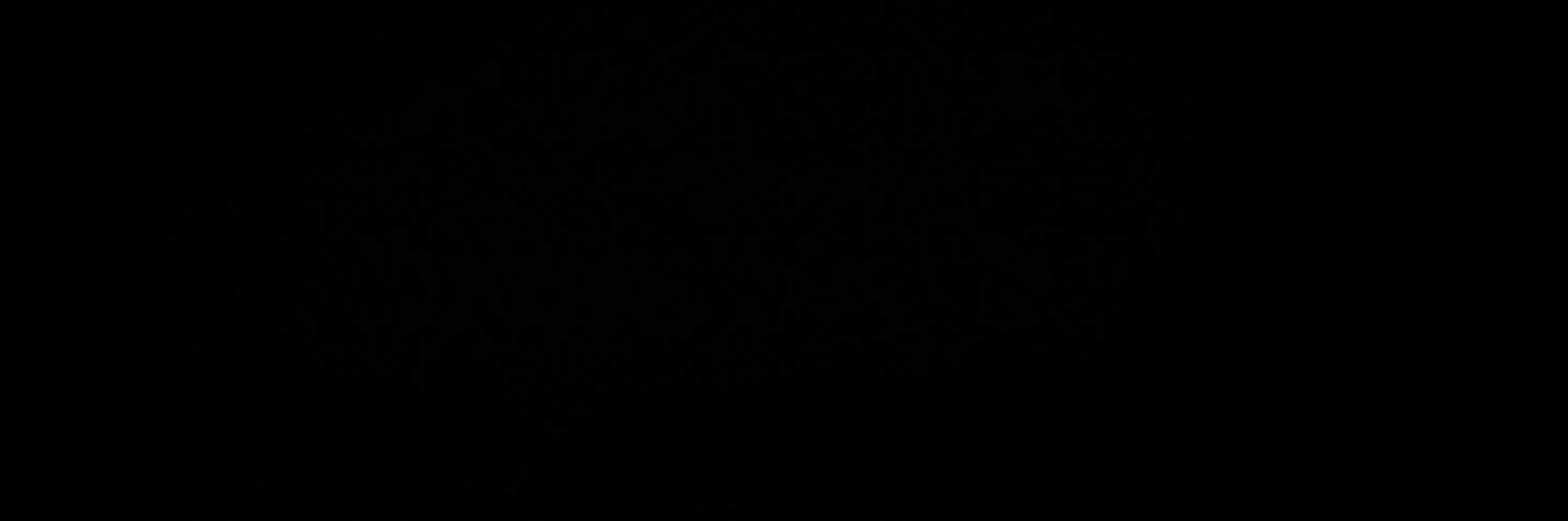 Sasha banner