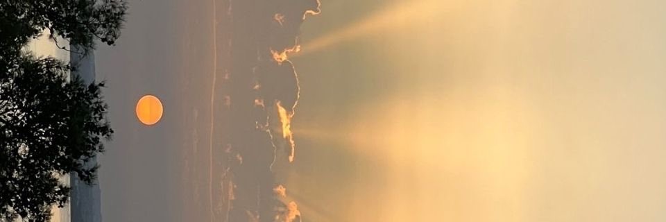 sunlight_901's profile banner image