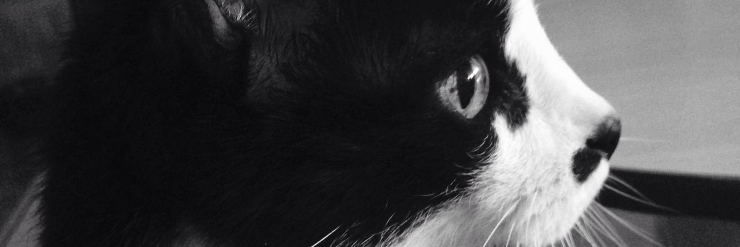 Goreti_92's profile banner image