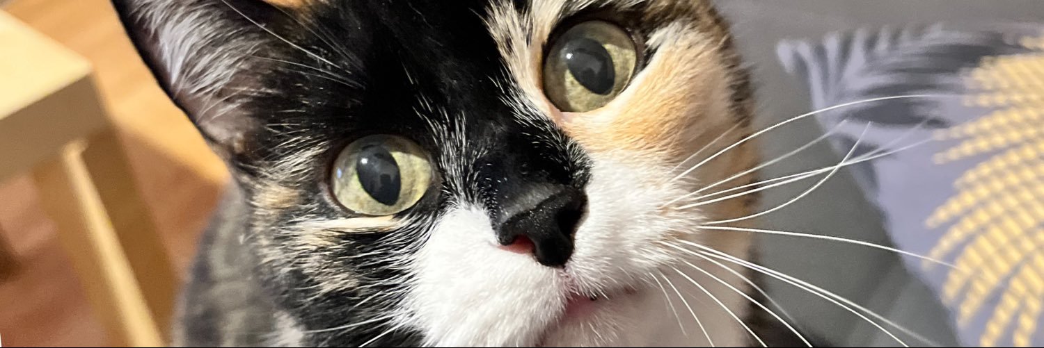keysibreal43684's profile banner image