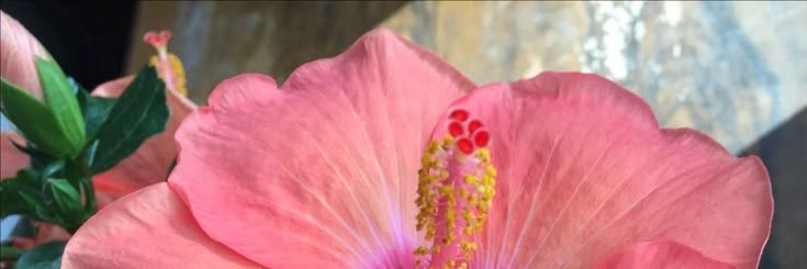 ggeonwo's profile banner image
