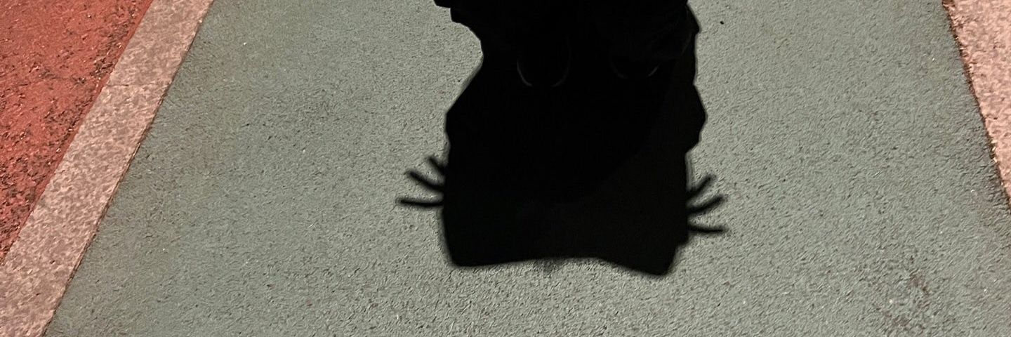 mingging24's profile banner image