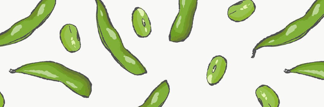 化物ずんだ banner