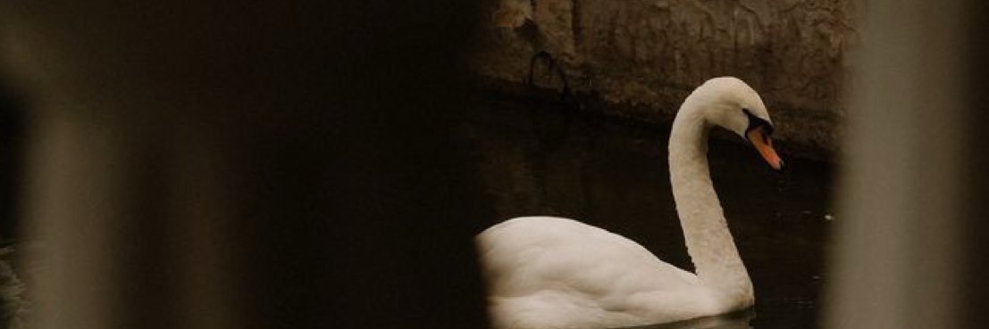 Hebaa48's profile banner image