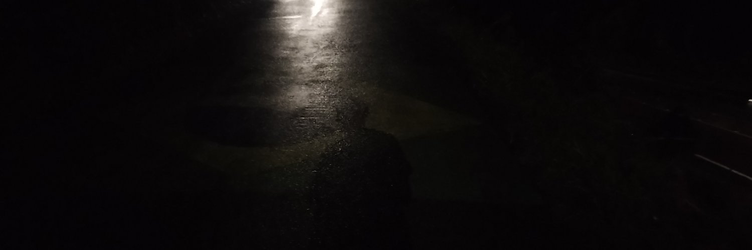 HiBergY_'s profile banner image