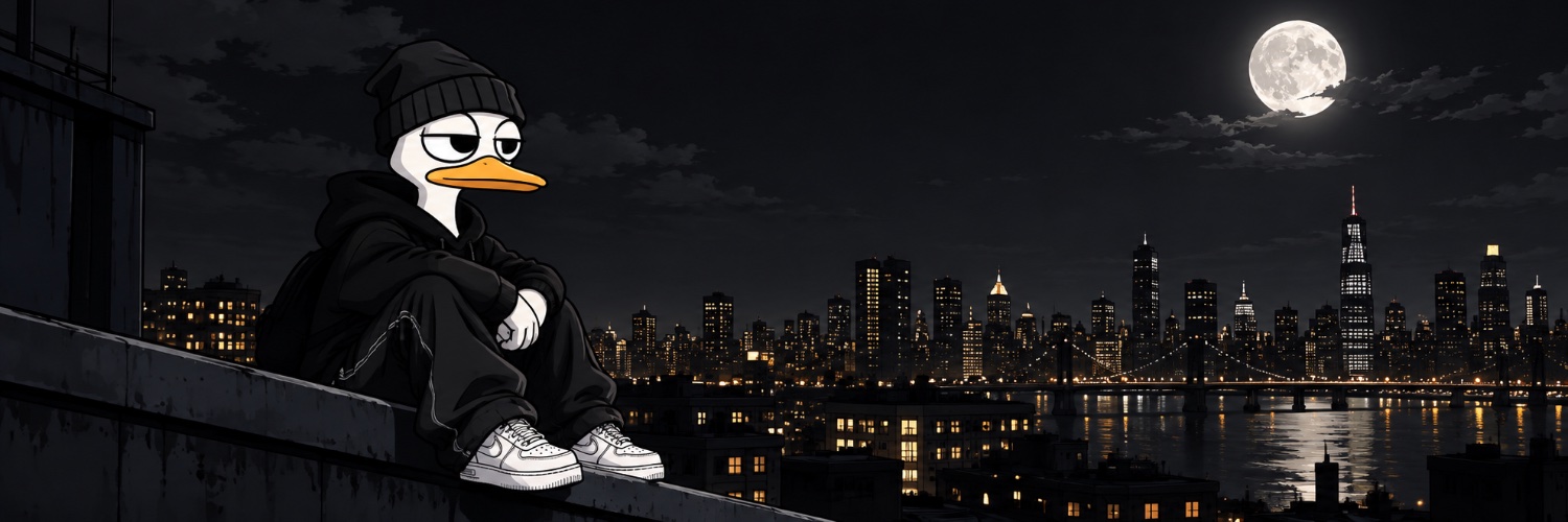 NoQuackForSol's profile banner image