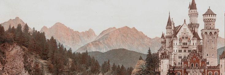 𝓣𝘩𝘦 𝓢𝘦𝘭𝘦𝘤𝘵𝘪𝘰𝘯 — 𝓜𝘢𝘳𝘢𝘶𝘯𝘥𝘦𝘳𝘴 banner