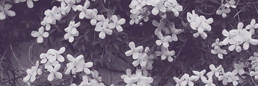 KINANDITA. banner