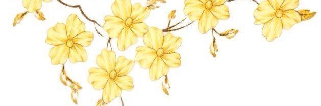 Jini can you shimmy? banner