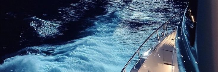 ✧ banner