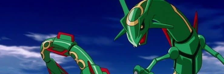 Catfish Inspector banner