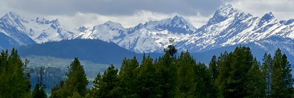 shirleybond Profile Banner