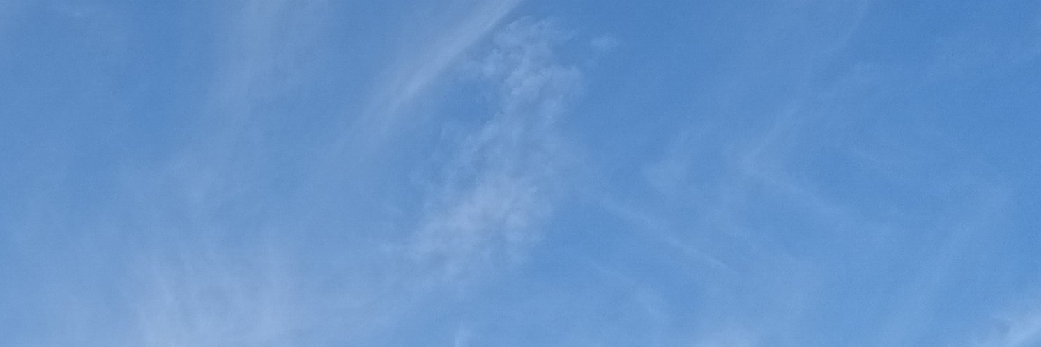 Elizabeth Funchess (firingsquad81) banner