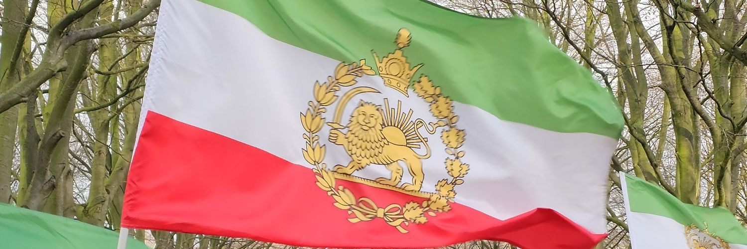 Shine like the moon banner