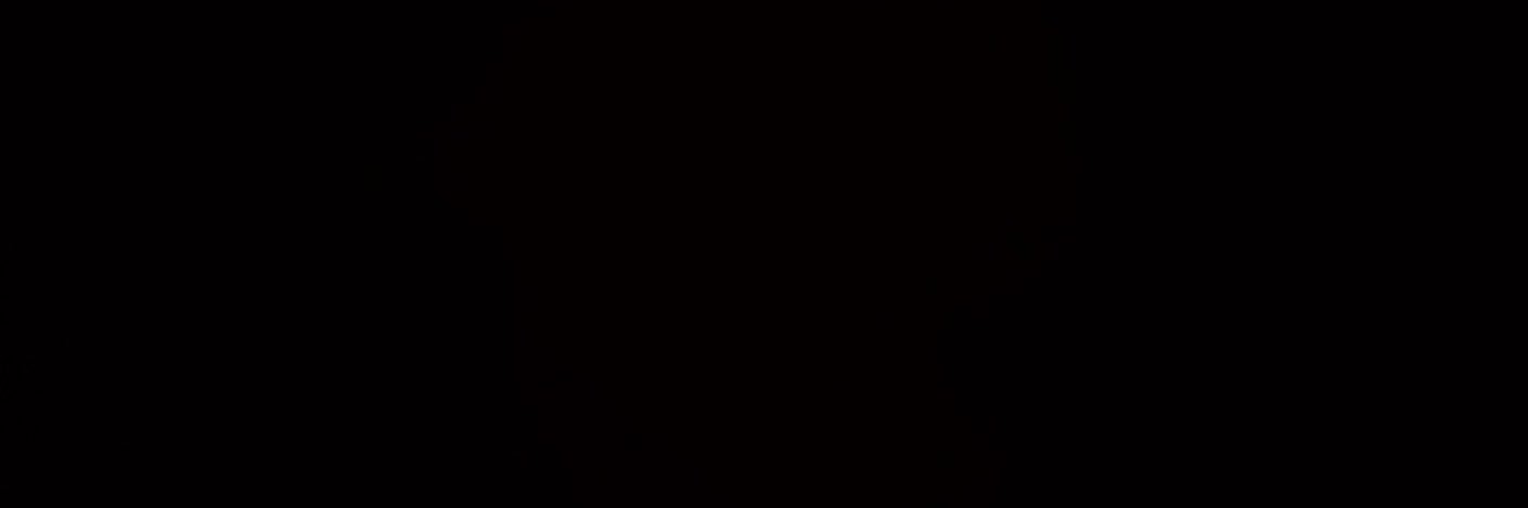 41rinotfound's profile banner image