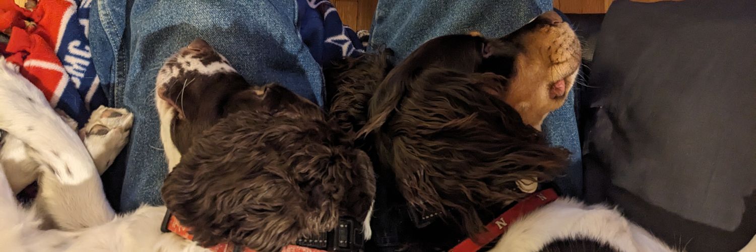 Justin Feikema banner