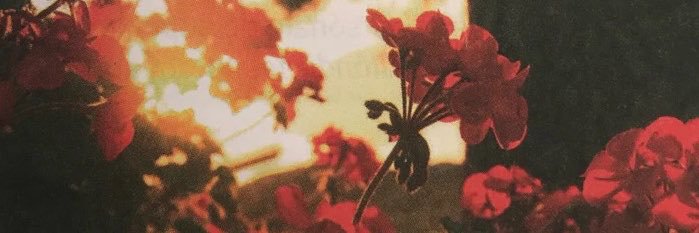 Llo_yra's profile banner image