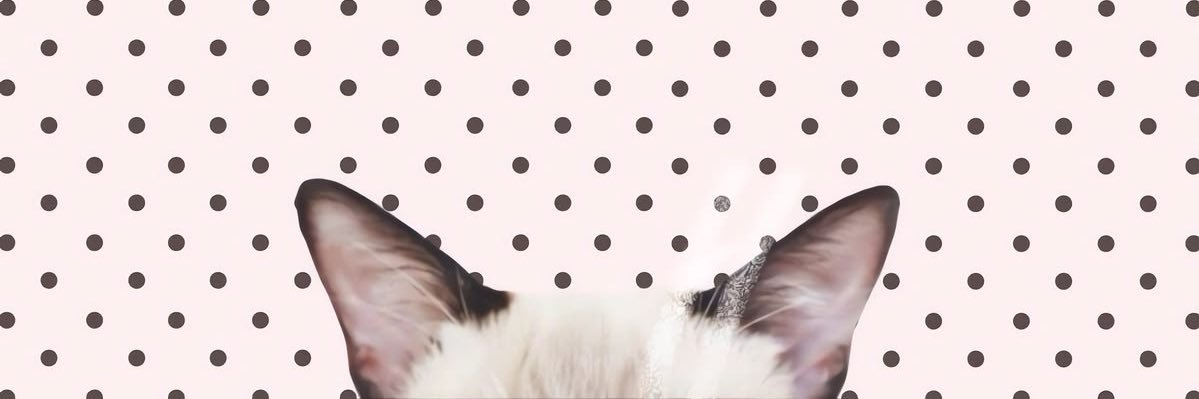 lilvenyi's profile banner image