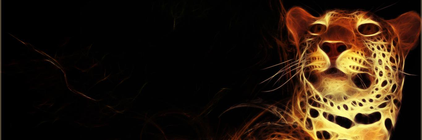 Owned8's profile banner image