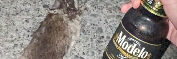 thedarkpervert Profile Banner