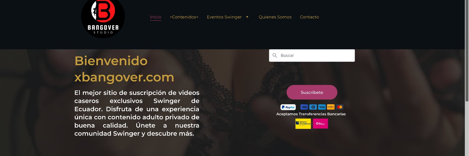 Bangoverestudio banner