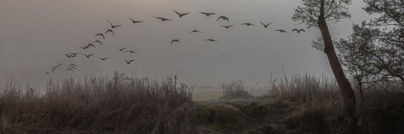 Chris the EVMist banner