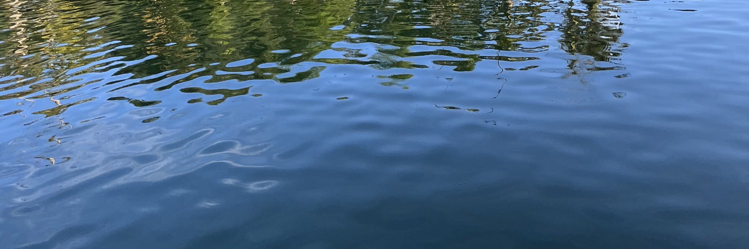 manuleejones's profile banner image