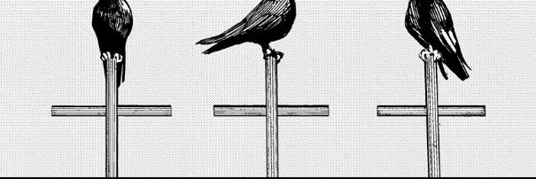4uth0r_'s profile banner image