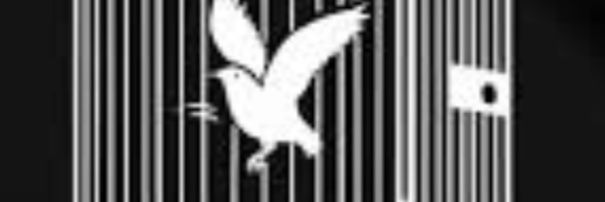 FoadAhmed12887's profile banner image