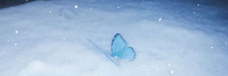 Minmong ✨ WTS MNET+ VOTE banner