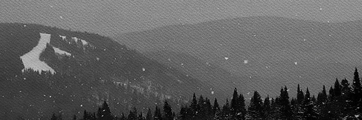 ⟅ ˓ 𝄒 𝘧𝗋𝖾𝗒𝖺 𝘭𝗈̈𝗐𝖾𝗇𝗌𝗍𝗋𝗈̈𝗆 ✩ banner