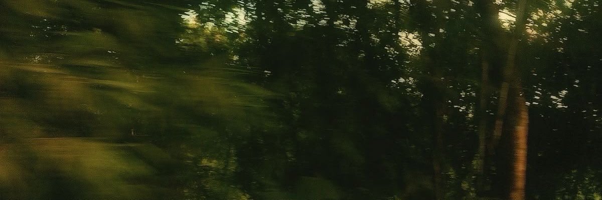 ohsopaigee's profile banner image