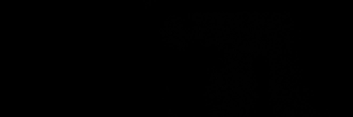 Iele 💕. banner