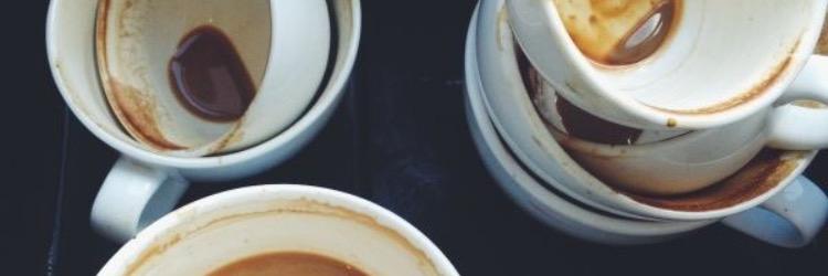 katieleefish's profile banner image