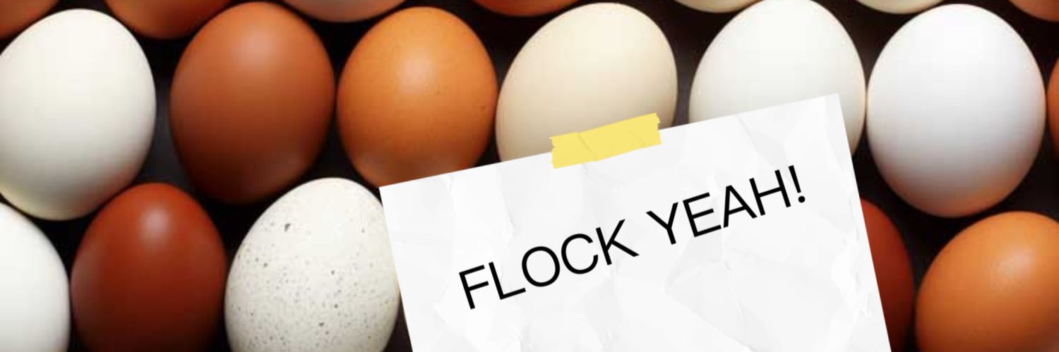 ShitKensFlock banner