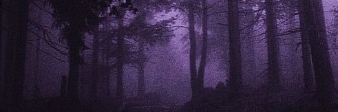 vincent whittman philosopher banner