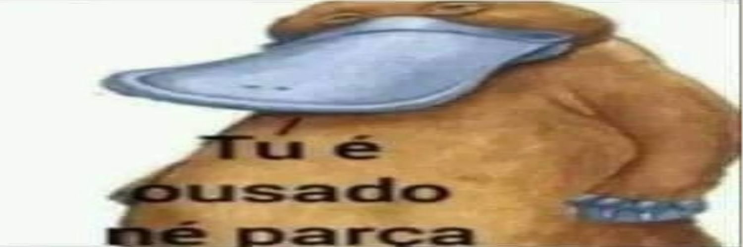 Castor São Paulo banner