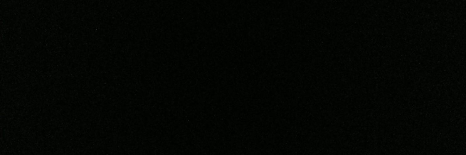 ThatFlyPigeon's profile banner image