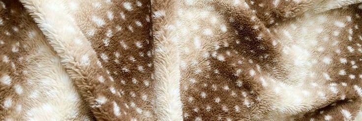 𝓛esley banner