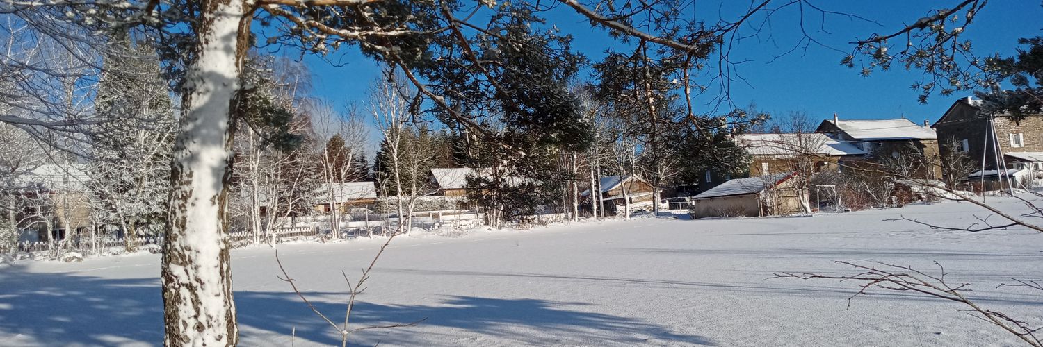 Bearliners's profile banner image