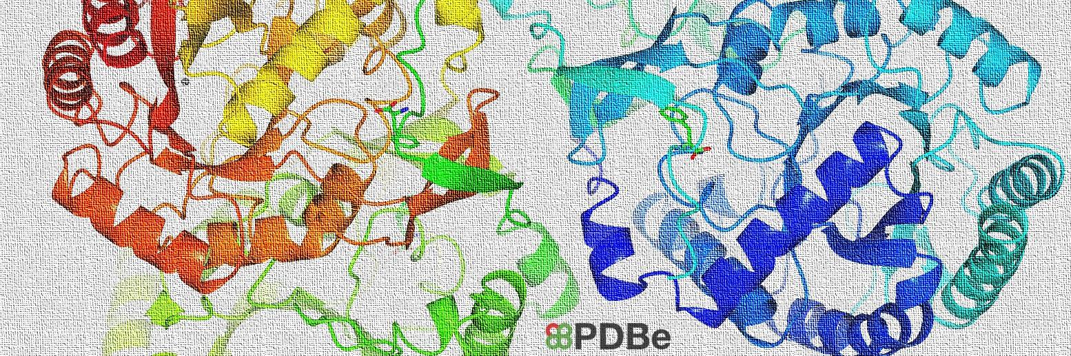 Protein Data Bank banner